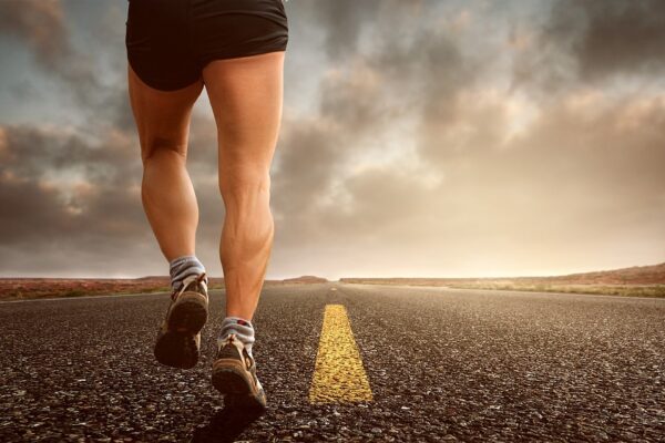 The Ultimate Guide to Bodyweight Workouts: Building Muscle and Strength Without Equipment Workout
