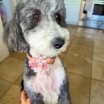 8.1 Friday Faves – Fitnessista