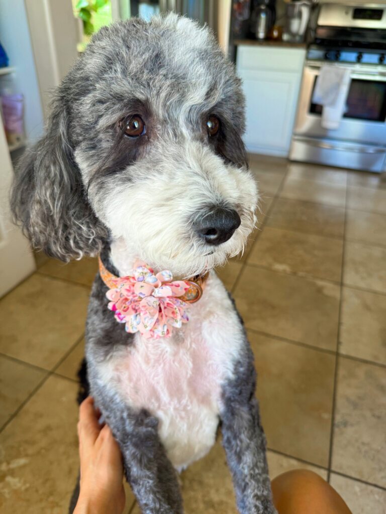 8.1 Friday Faves – Fitnessista