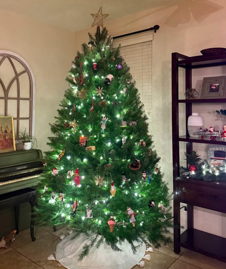 12.6 Friday Favorites – The Fitnessista