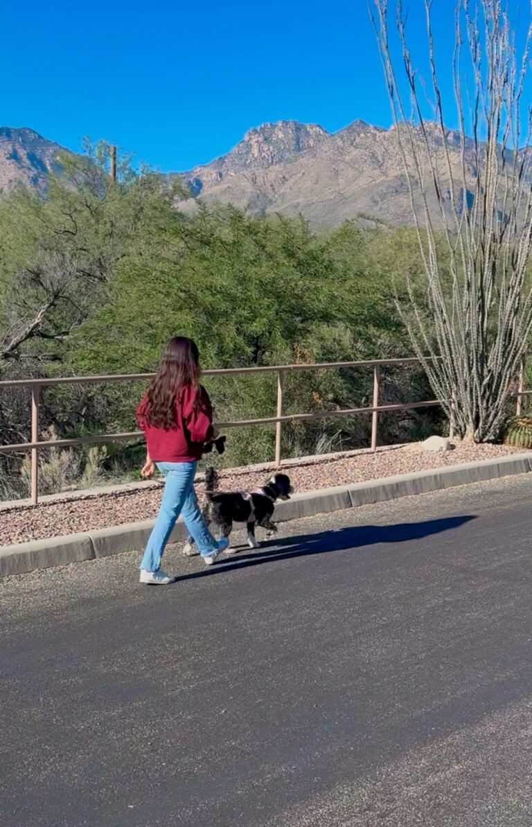 Low-Effort Wellness Habits That Really Make a Difference