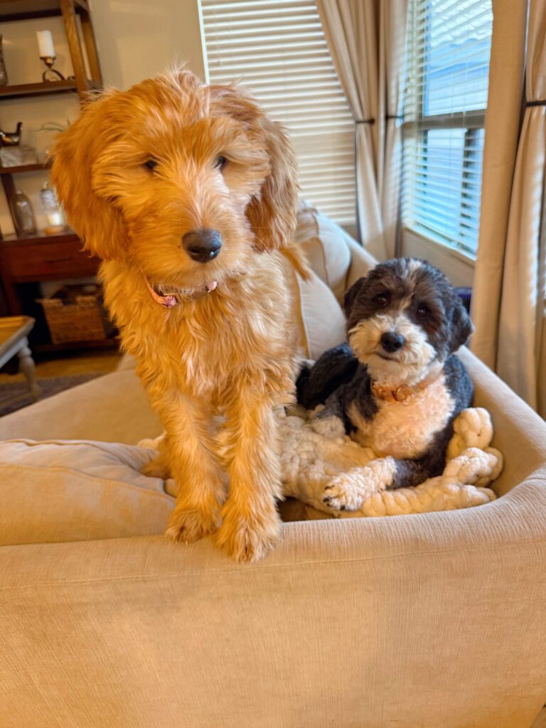 2.6 Friday Favorites – The Fitnessista